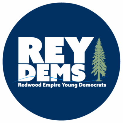 reydems logo