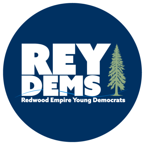 reydems logo